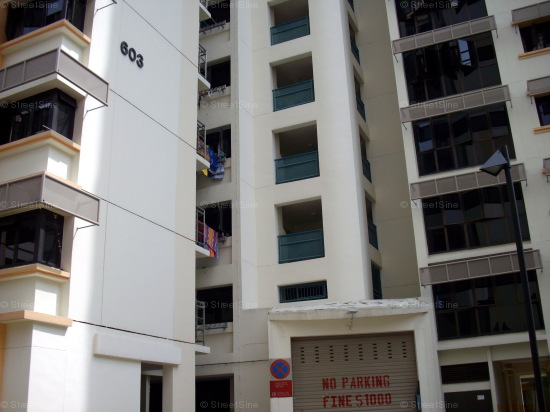 Jurong West Street 62 thumbnail photo